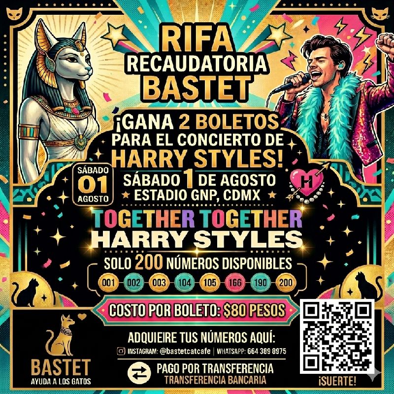 Harry Styles Concierto 