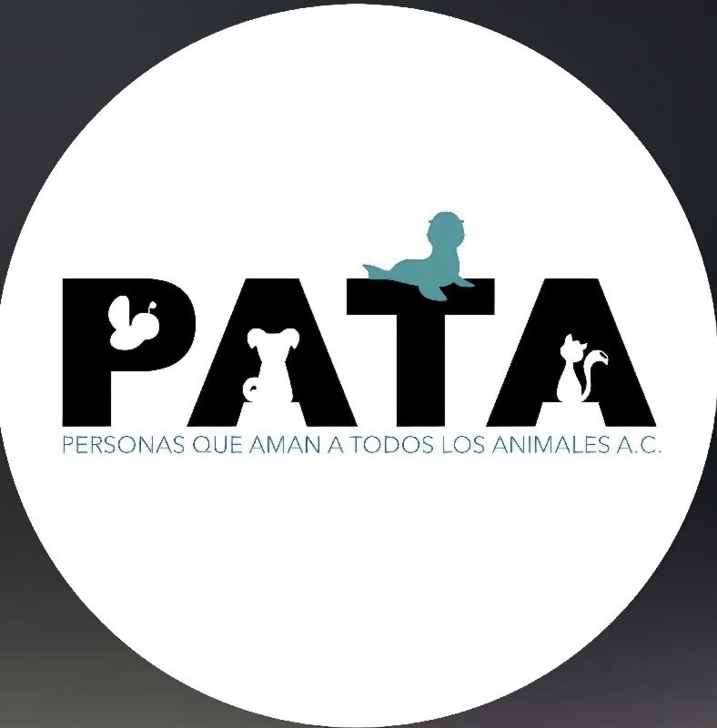 Rifa Solidaria